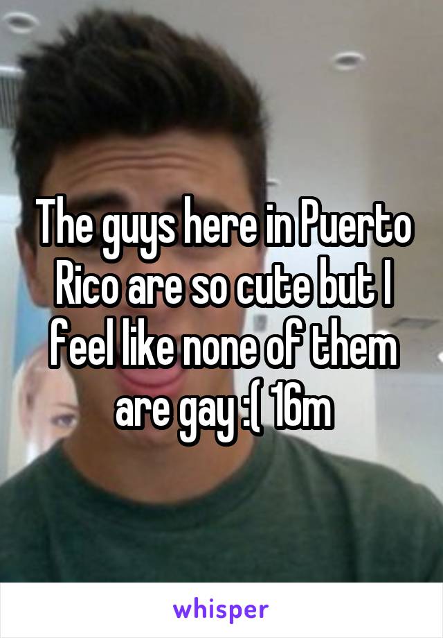 The guys here in Puerto Rico are so cute but I feel like none of them are gay :( 16m