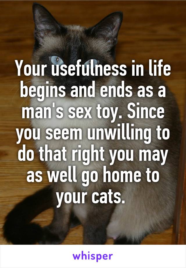 Your usefulness in life begins and ends as a man's sex toy. Since you seem unwilling to do that right you may as well go home to your cats. 