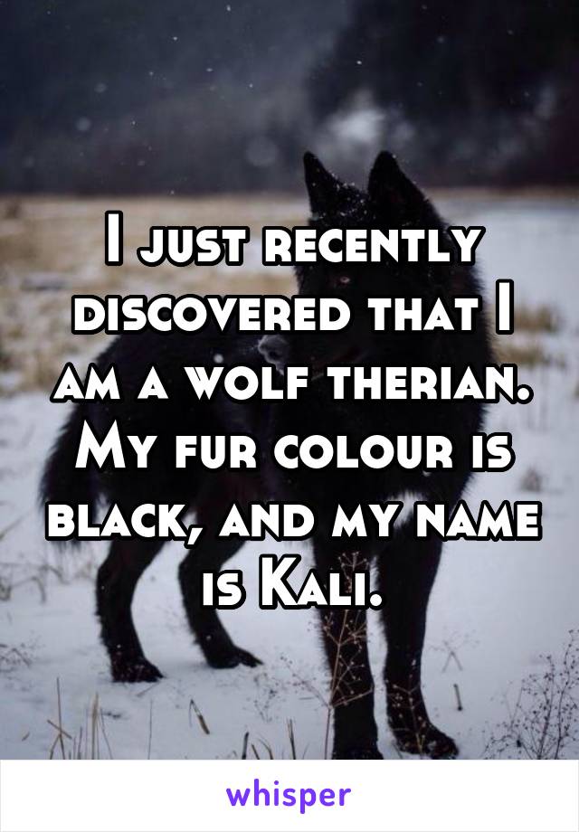 I just recently discovered that I am a wolf therian. My fur colour is black, and my name is Kali.