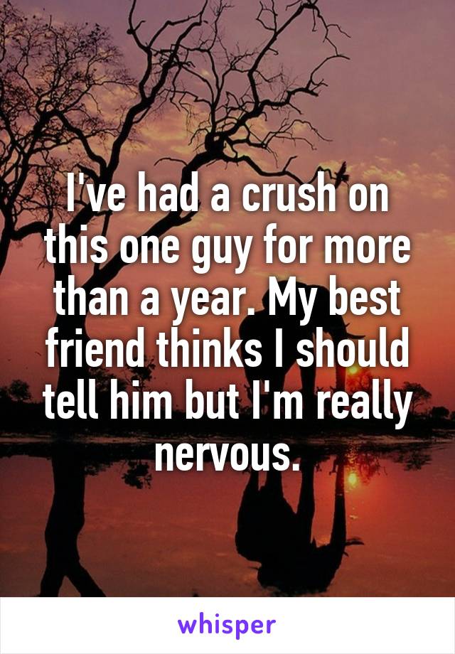 I've had a crush on this one guy for more than a year. My best friend thinks I should tell him but I'm really nervous.