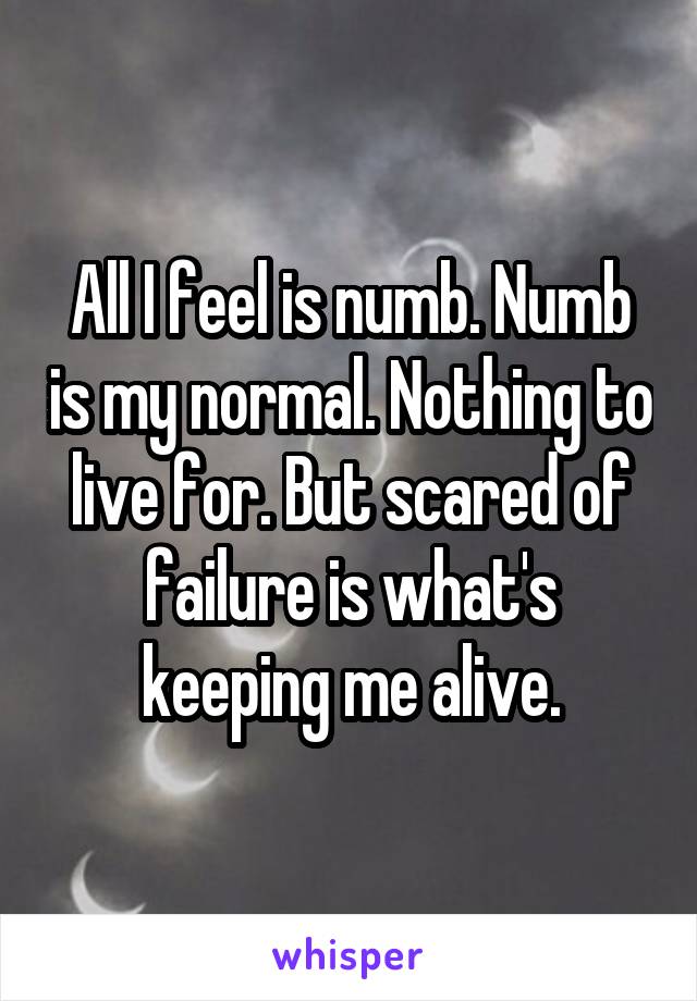 All I feel is numb. Numb is my normal. Nothing to live for. But scared of failure is what's keeping me alive.