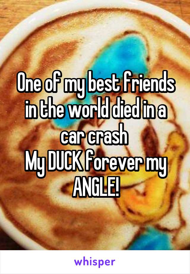 One of my best friends in the world died in a car crash 
My DUCK forever my ANGLE!