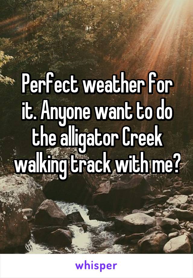 Perfect weather for it. Anyone want to do the alligator Creek walking track with me? 