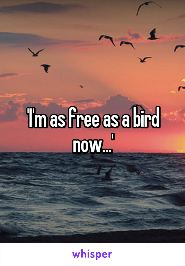 'I'm as free as a bird now...'