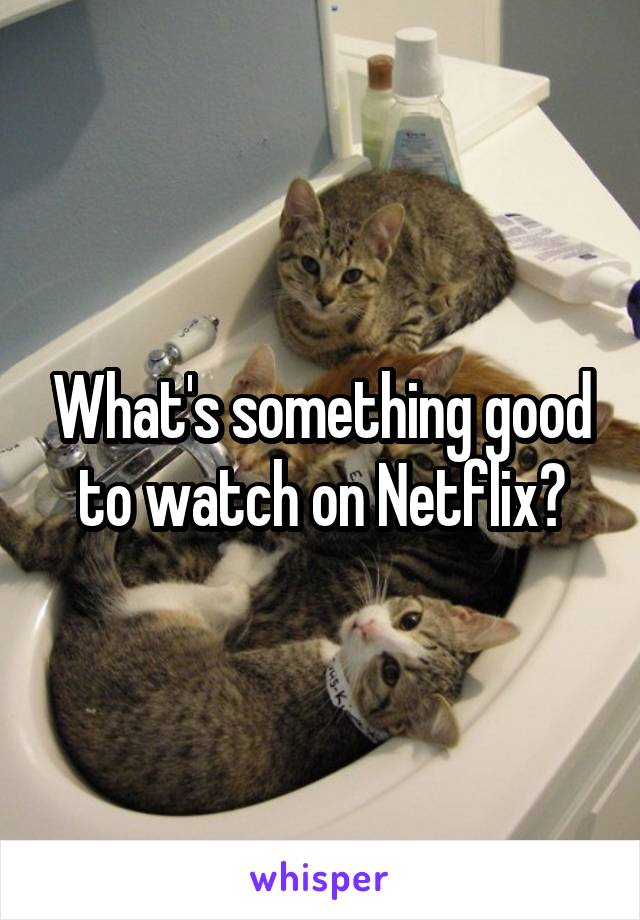 What's something good to watch on Netflix?