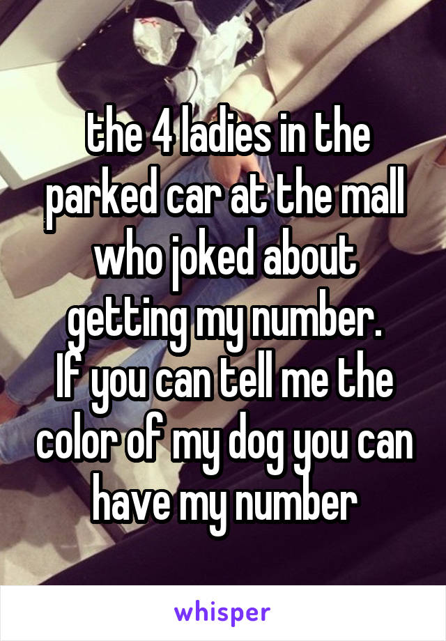  the 4 ladies in the parked car at the mall who joked about getting my number.
If you can tell me the color of my dog you can have my number