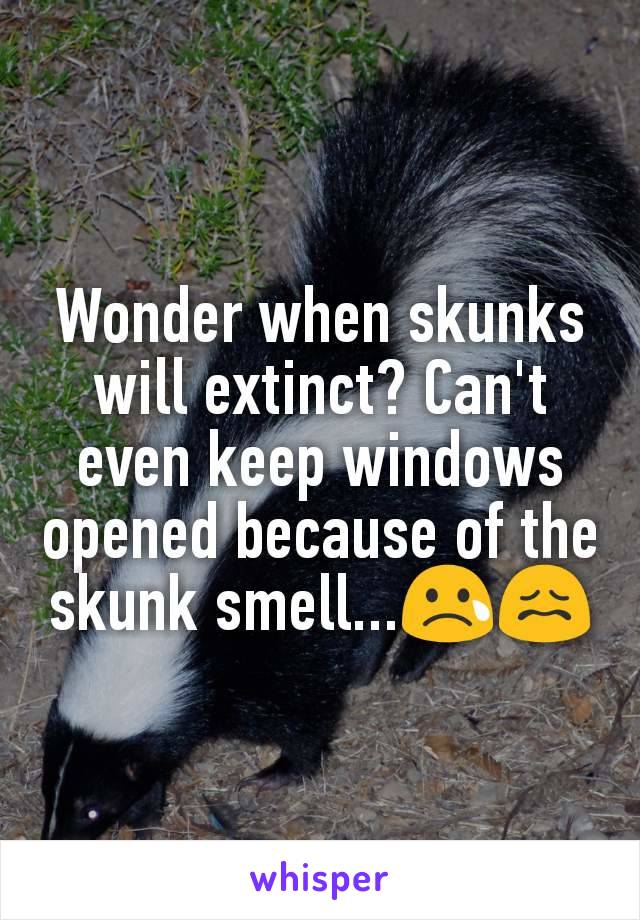 Wonder when skunks will extinct? Can't even keep windows opened because of the skunk smell...😢😖