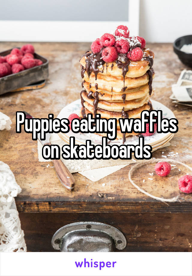 Puppies eating waffles on skateboards