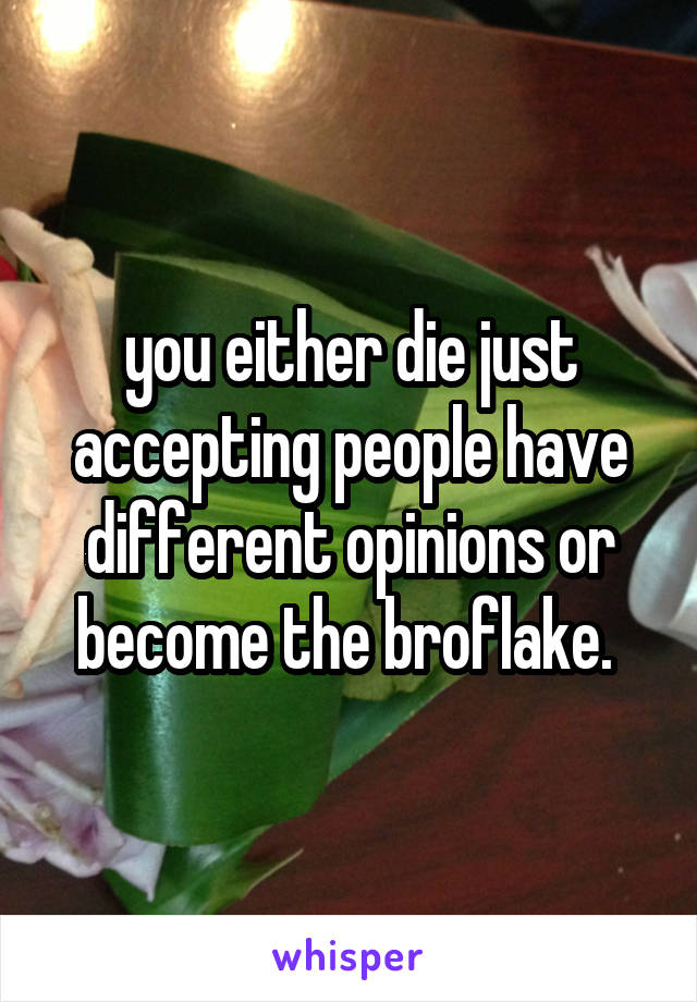 you either die just accepting people have different opinions or become the broflake. 