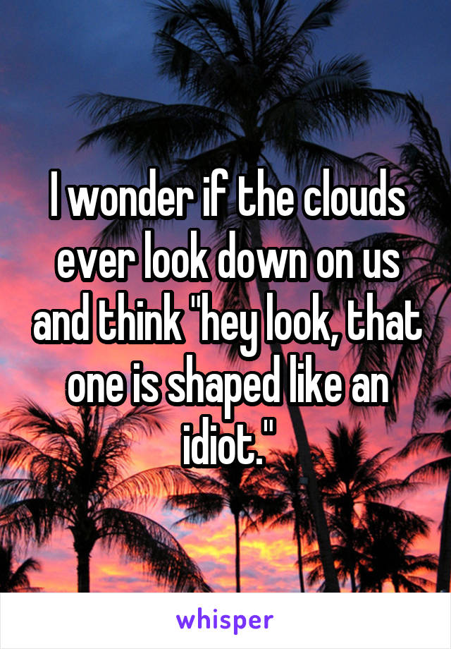 I wonder if the clouds ever look down on us and think "hey look, that one is shaped like an idiot."