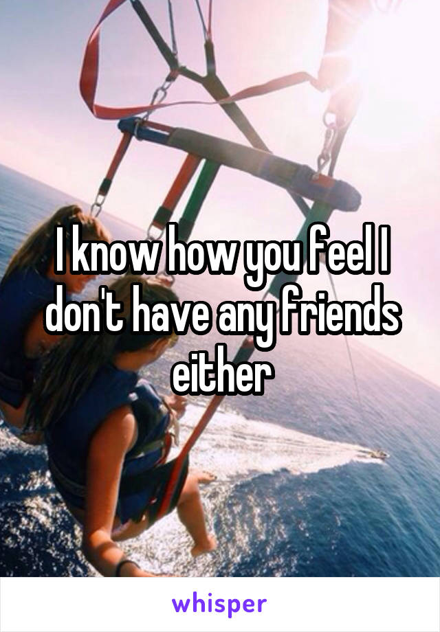 I know how you feel I don't have any friends either