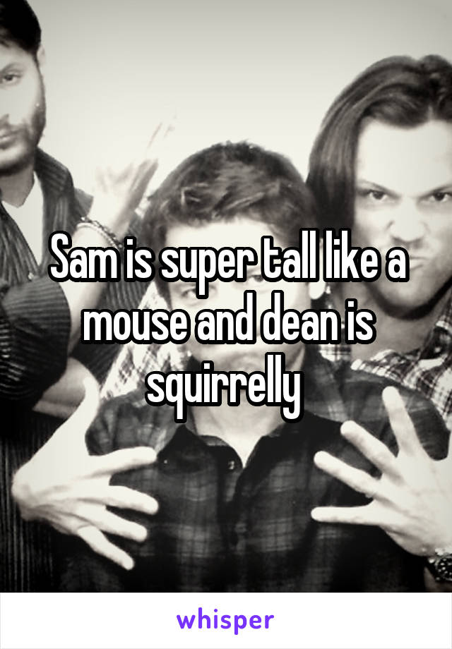 Sam is super tall like a mouse and dean is squirrelly 