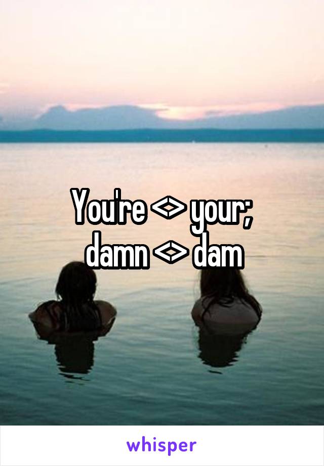 You're <> your; 
damn <> dam