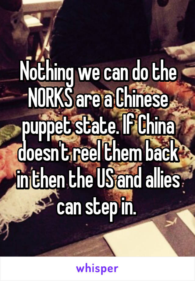 Nothing we can do the NORKS are a Chinese puppet state. If China doesn't reel them back in then the US and allies can step in. 