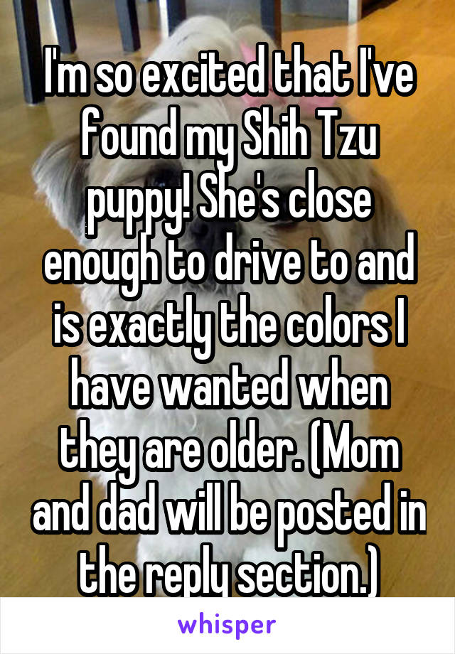 I'm so excited that I've found my Shih Tzu puppy! She's close enough to drive to and is exactly the colors I have wanted when they are older. (Mom and dad will be posted in the reply section.)