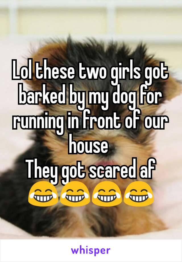 Lol these two girls got barked by my dog for running in front of our house 
They got scared af
😂😂😂😂