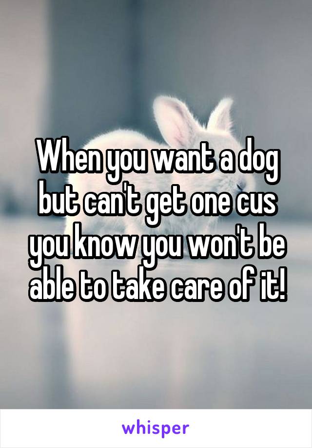 When you want a dog but can't get one cus you know you won't be able to take care of it!