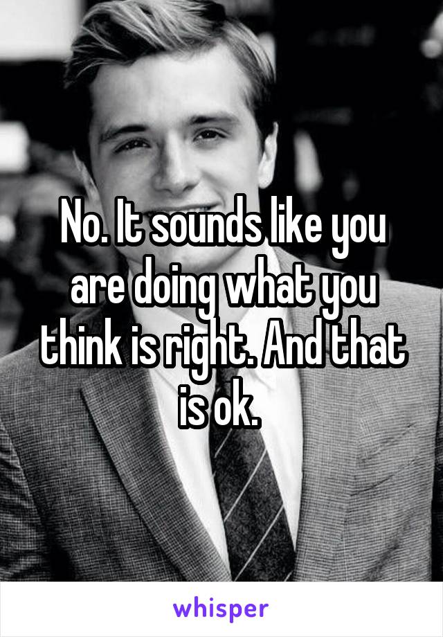 No. It sounds like you are doing what you think is right. And that is ok. 