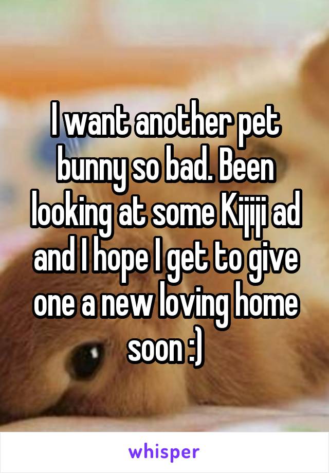 I want another pet bunny so bad. Been looking at some Kijiji ad and I hope I get to give one a new loving home soon :)