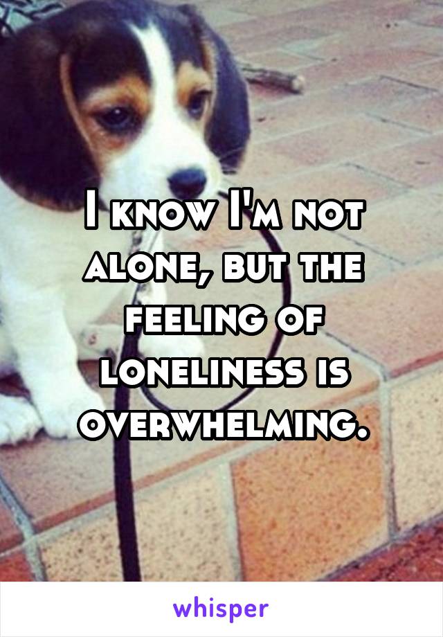 I know I'm not alone, but the feeling of loneliness is overwhelming.