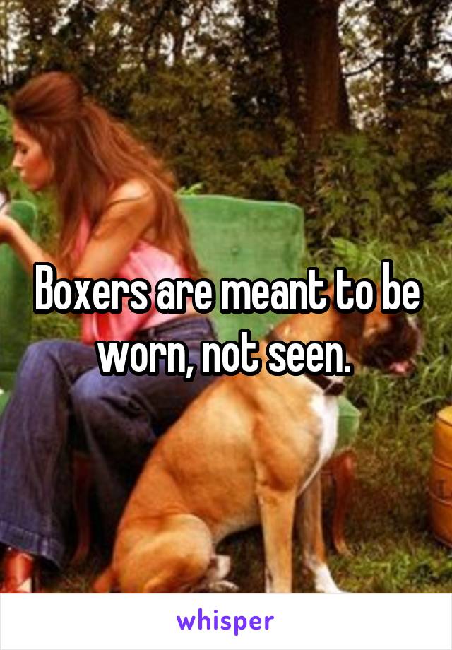 Boxers are meant to be worn, not seen. 