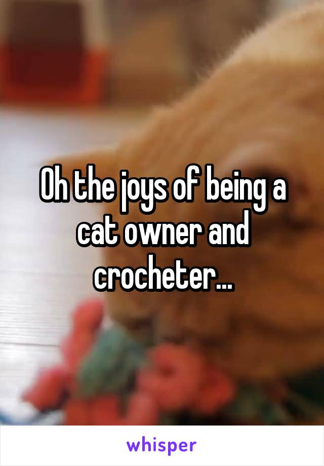 Oh the joys of being a cat owner and crocheter...