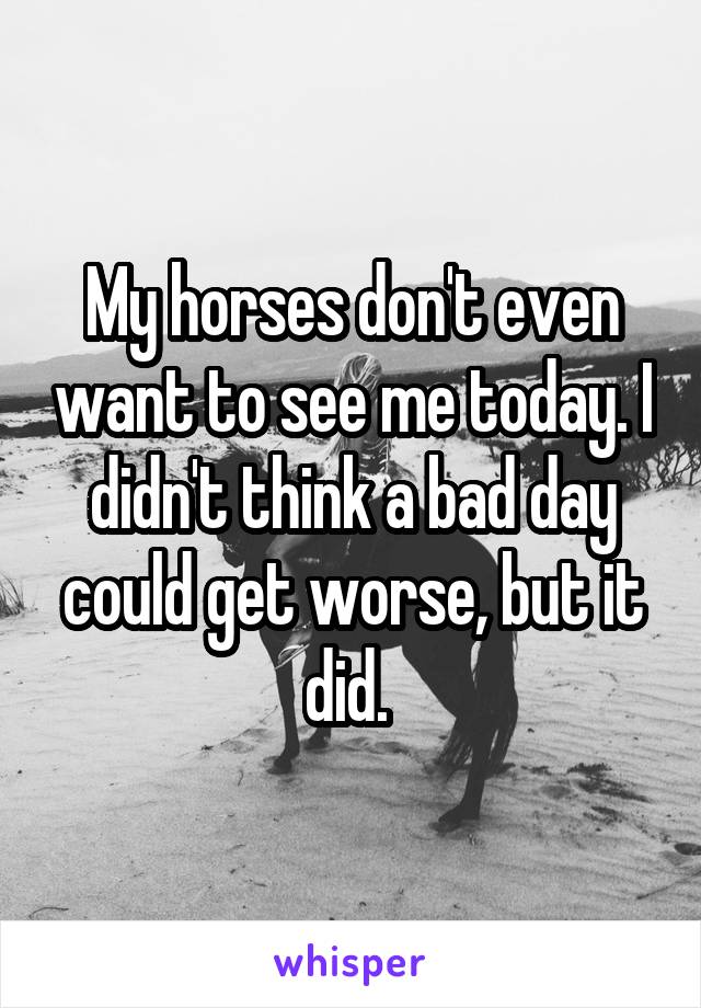 My horses don't even want to see me today. I didn't think a bad day could get worse, but it did. 