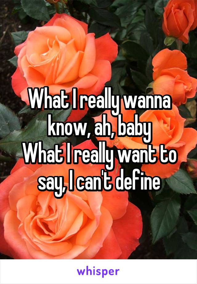 What I really wanna know, ah, baby
What I really want to say, I can't define