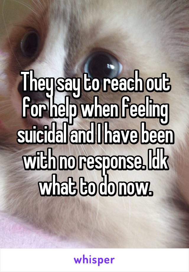 They say to reach out for help when feeling suicidal and I have been with no response. Idk what to do now.