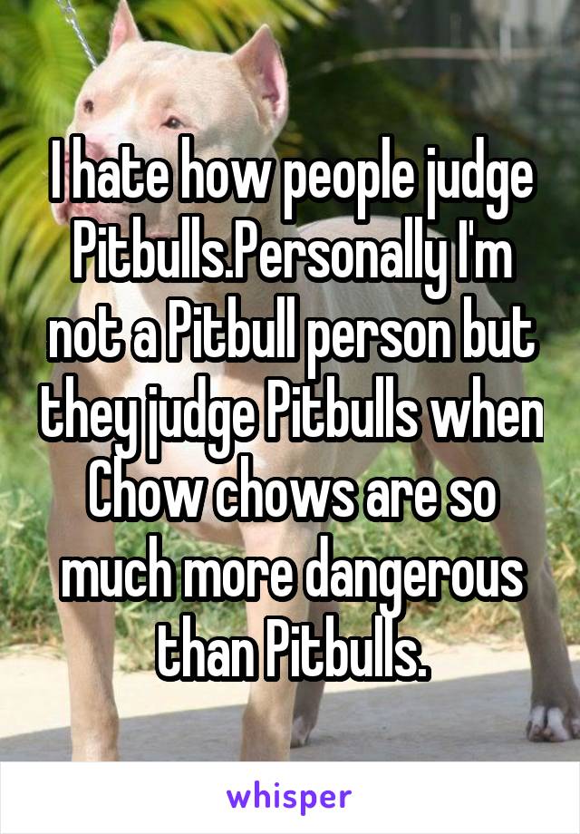 I hate how people judge Pitbulls.Personally I'm not a Pitbull person but they judge Pitbulls when Chow chows are so much more dangerous than Pitbulls.