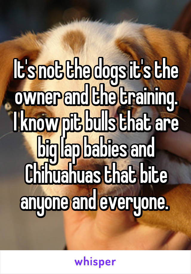 It's not the dogs it's the owner and the training. I know pit bulls that are big lap babies and Chihuahuas that bite anyone and everyone. 