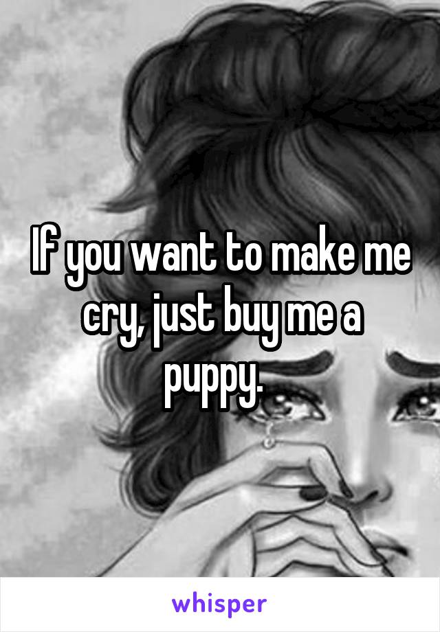 If you want to make me cry, just buy me a puppy.  