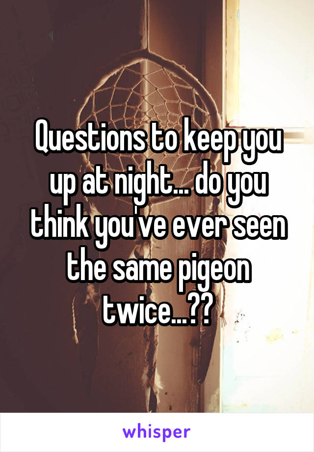 Questions to keep you up at night... do you think you've ever seen the same pigeon twice...??