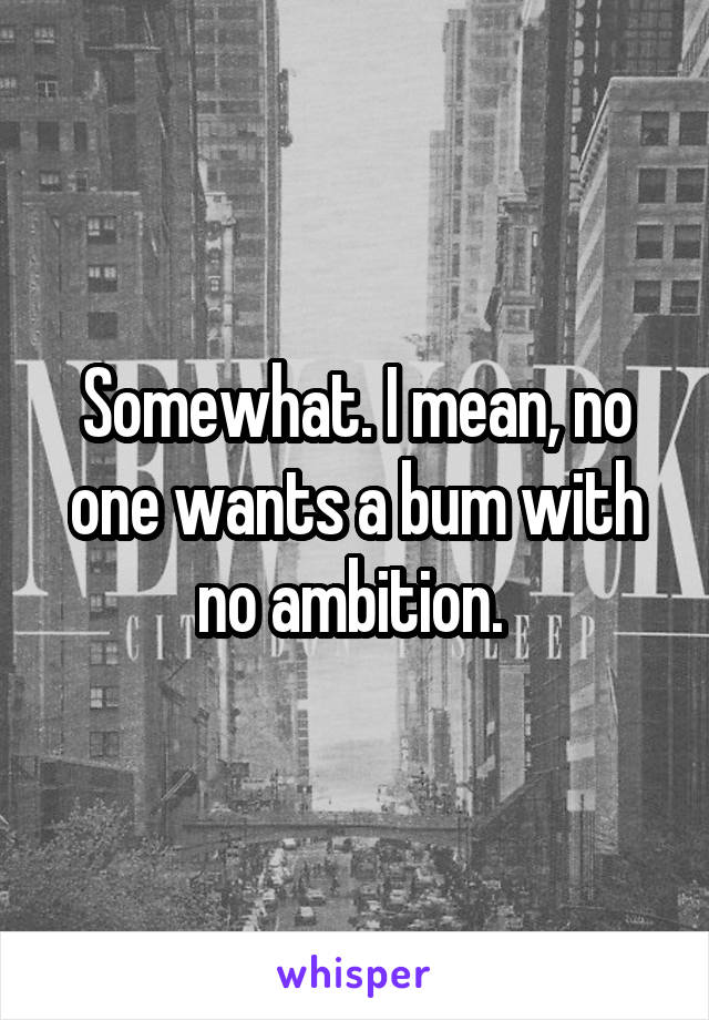 Somewhat. I mean, no one wants a bum with no ambition. 