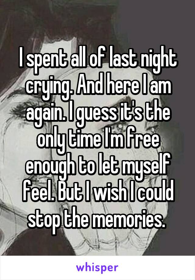 I spent all of last night crying. And here I am again. I guess it's the only time I'm free enough to let myself feel. But I wish I could stop the memories. 