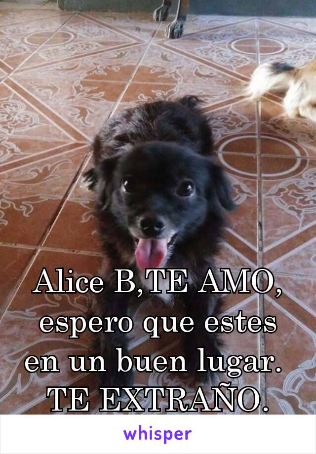 Alice B,TE AMO, espero que estes en un buen lugar. 
TE EXTRAÑO.