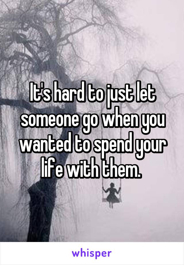 It's hard to just let someone go when you wanted to spend your life with them. 