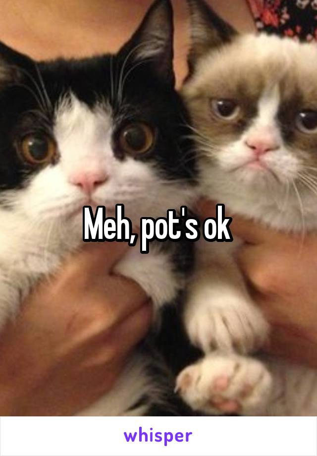 Meh, pot's ok 