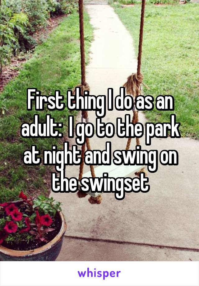 First thing I do as an adult:  I go to the park at night and swing on the swingset