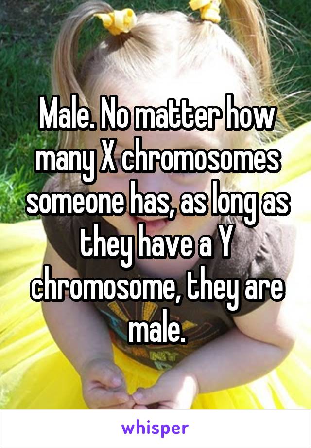 Male. No matter how many X chromosomes someone has, as long as they have a Y chromosome, they are male.