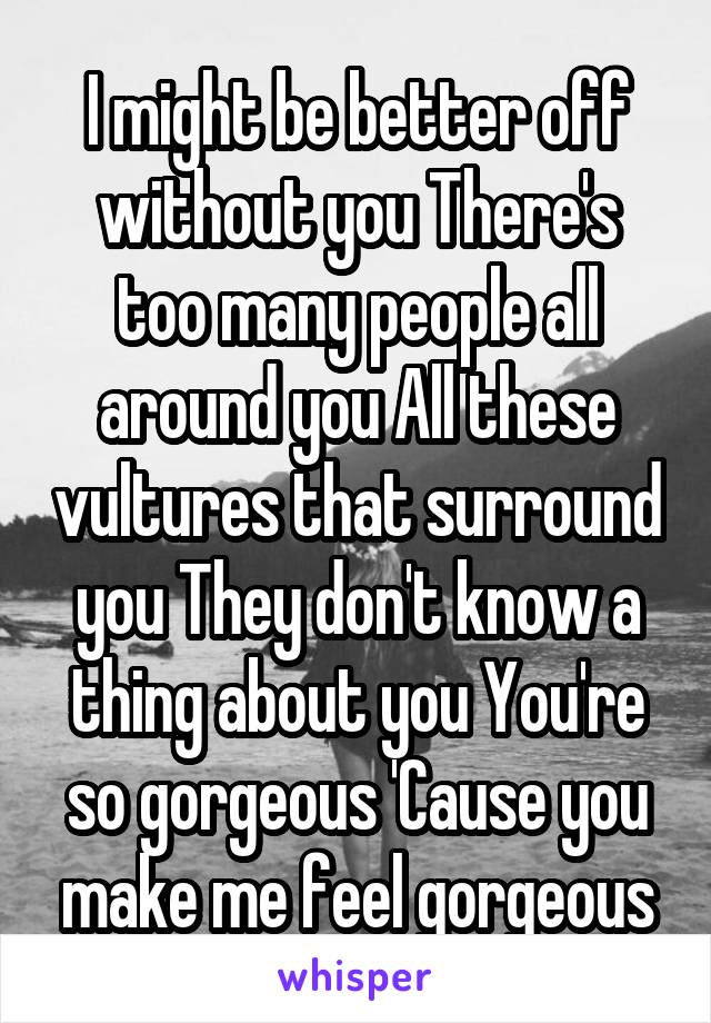 I might be better off without you There's too many people all around you All these vultures that surround you They don't know a thing about you You're so gorgeous 'Cause you make me feel gorgeous