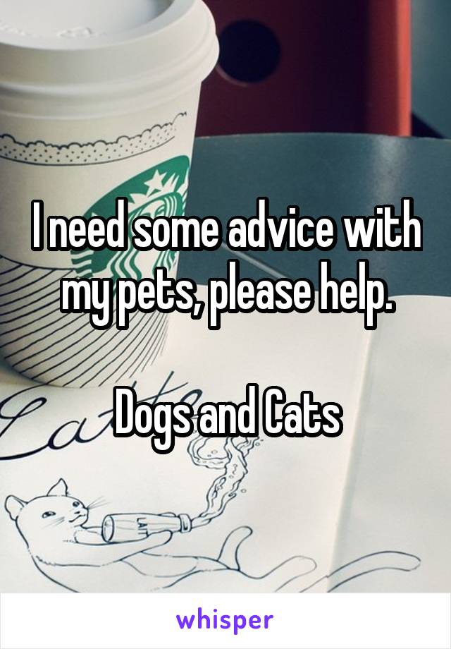 I need some advice with my pets, please help.

Dogs and Cats