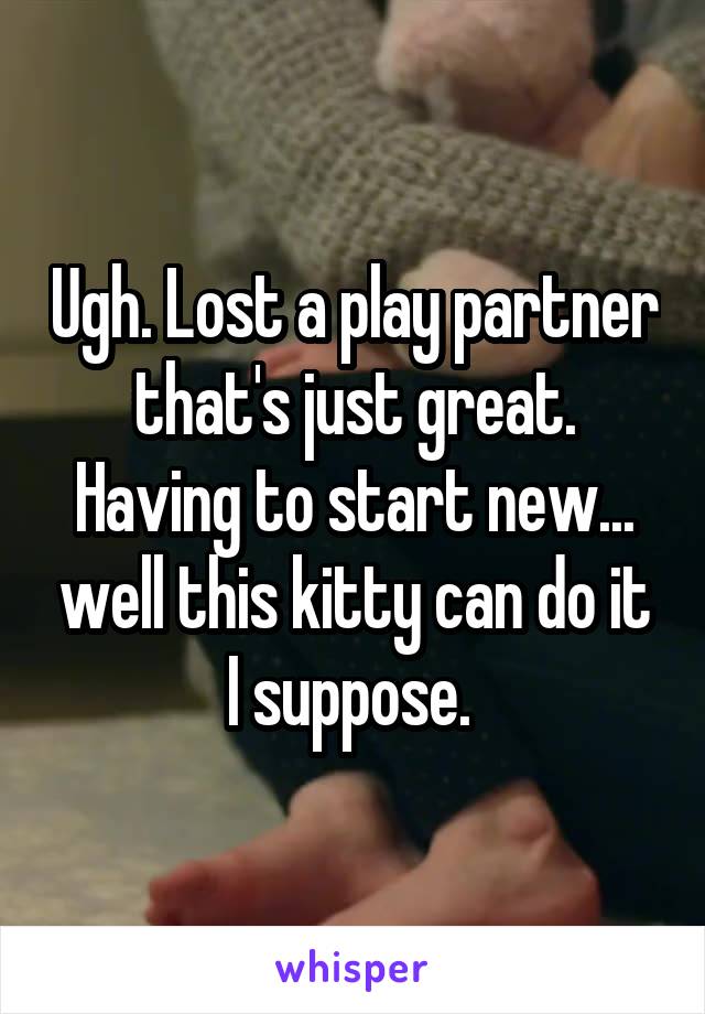 Ugh. Lost a play partner that's just great. Having to start new... well this kitty can do it I suppose. 