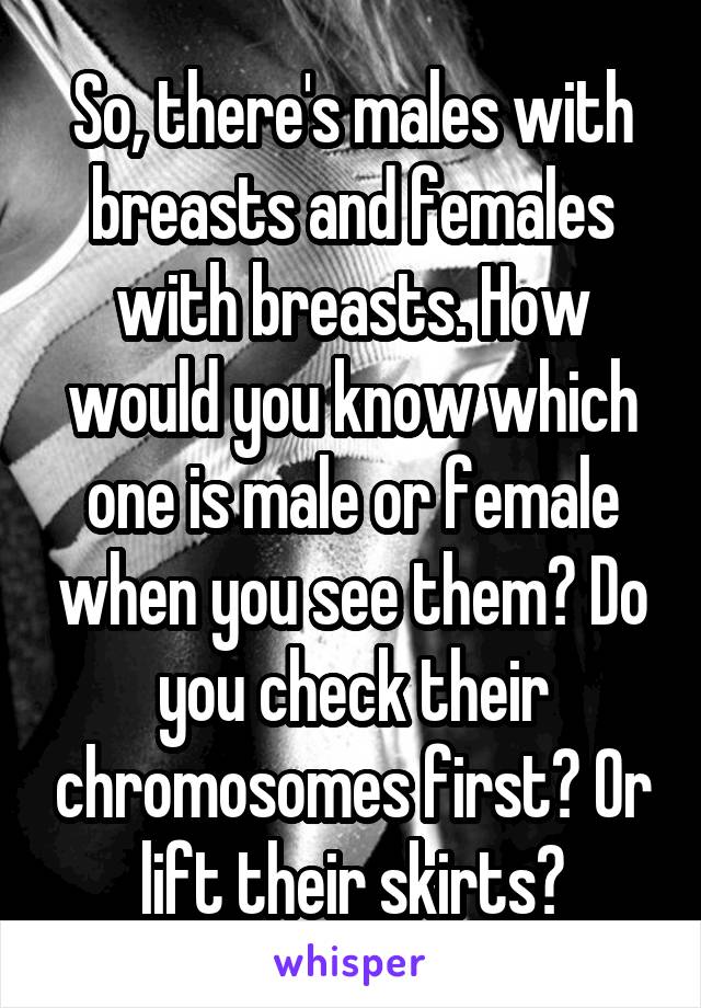 So, there's males with breasts and females with breasts. How would you know which one is male or female when you see them? Do you check their chromosomes first? Or lift their skirts?