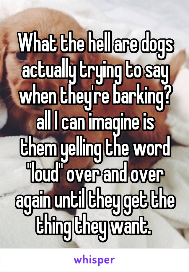 What the hell are dogs actually trying to say when they're barking?
all I can imagine is them yelling the word "loud" over and over again until they get the thing they want. 