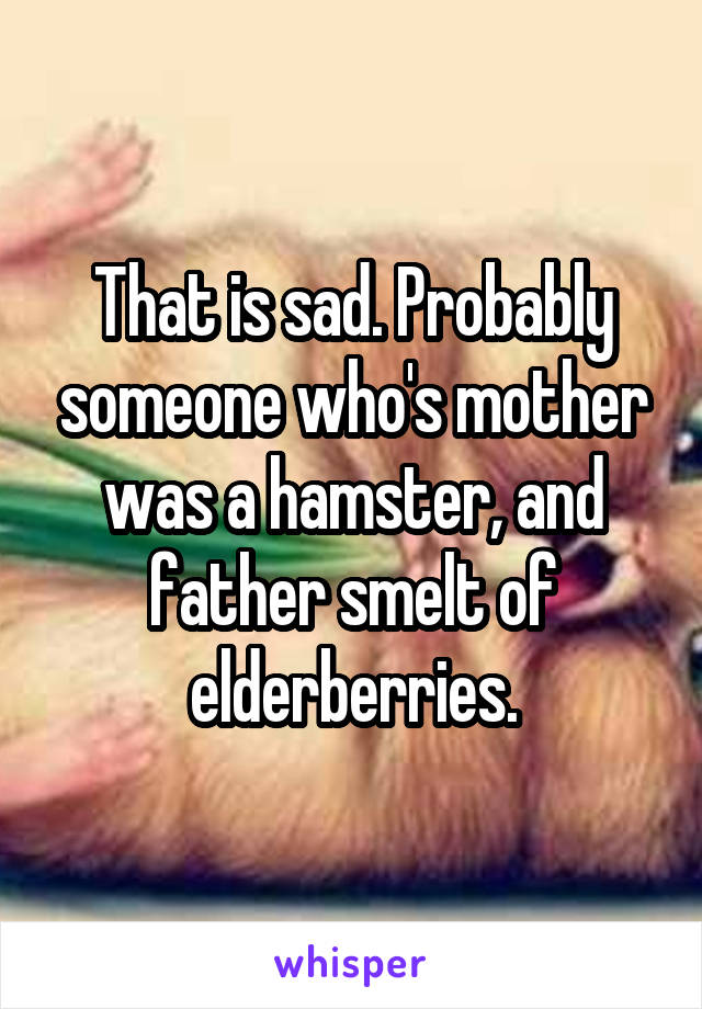 That is sad. Probably someone who's mother was a hamster, and father smelt of elderberries.