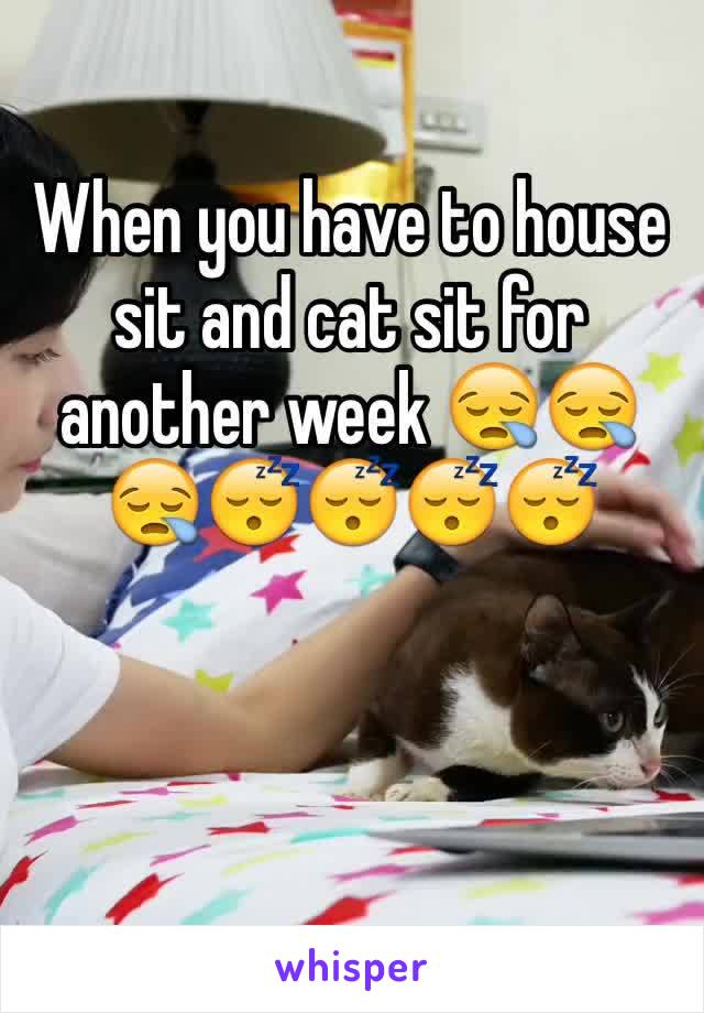 When you have to house sit and cat sit for another week 😪😪😪😴😴😴😴