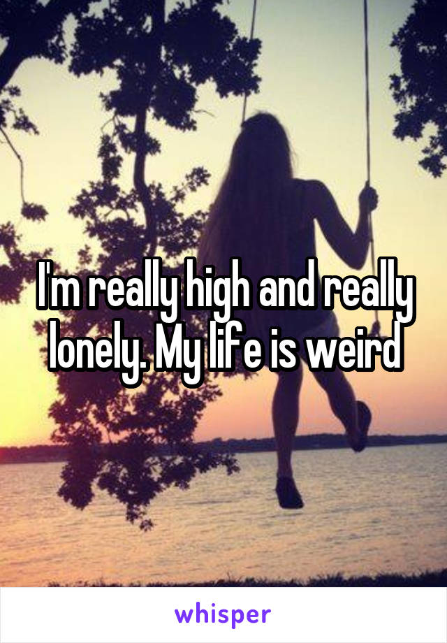 I'm really high and really lonely. My life is weird