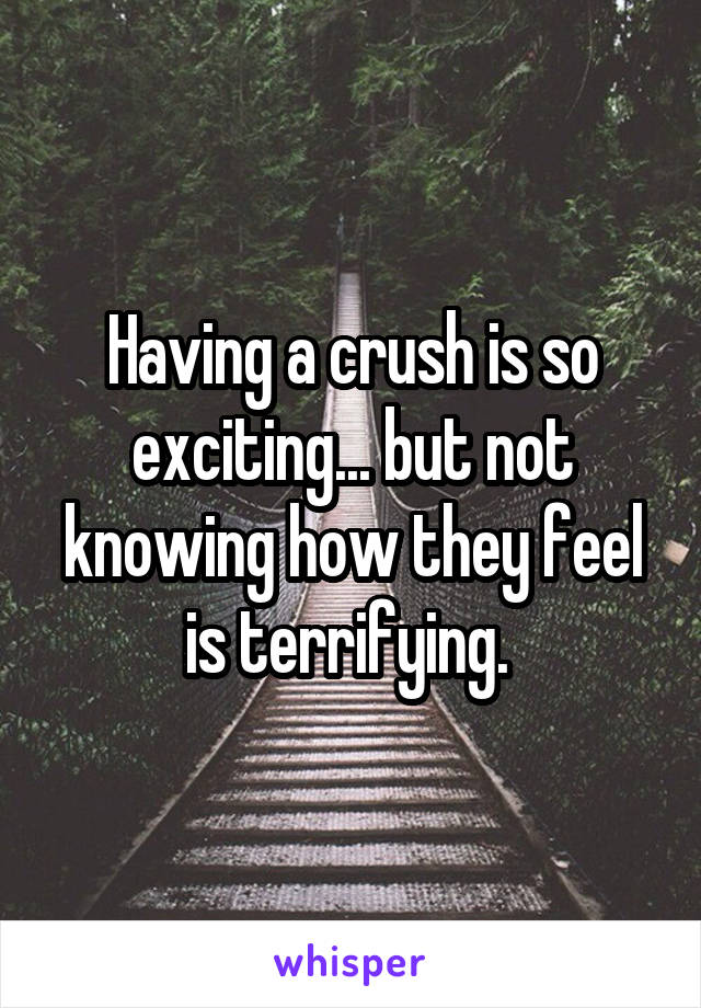 Having a crush is so exciting... but not knowing how they feel is terrifying. 