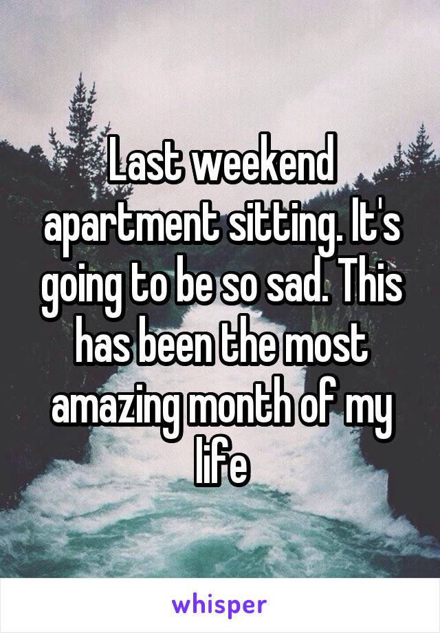 Last weekend apartment sitting. It's going to be so sad. This has been the most amazing month of my life